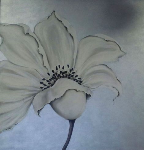 img-20170223-wa0023-bis